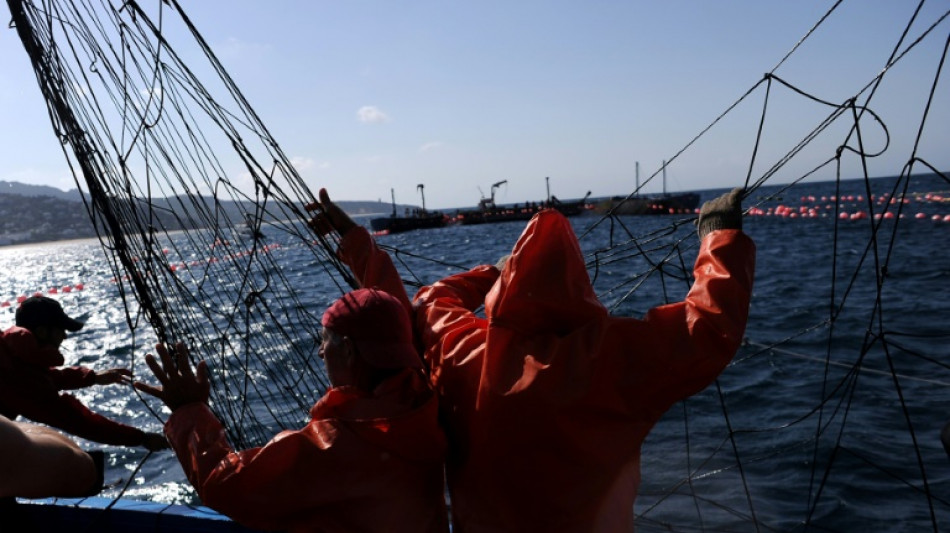 Espa&ntilde;a, de luto por el naufragio de un pesquero gallego en aguas de Canad&aacute;