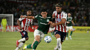 Palmeiras estreia na Libertadores com empate (1-1) contra o Junior na Col&ocirc;mbia