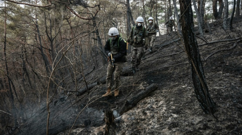 Incendies en Cor&eacute;e du Sud: le bilan s'alourdit &agrave; 28 morts, les pluies offrent un peu de r&eacute;pit