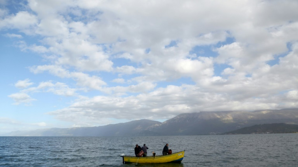 'King of Lake Ohrid': the fight to save a Balkan trout