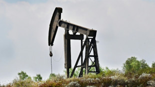 Deuxi&egrave;me journ&eacute;e de tr&egrave;s forte baisse du p&eacute;trole, face aux attaques douani&egrave;res