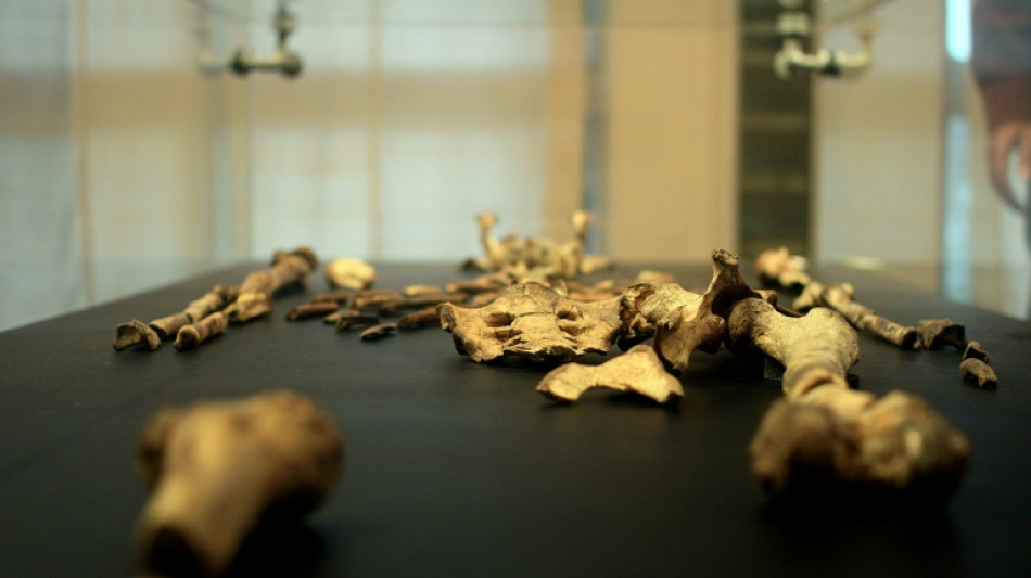 Praga receber&aacute; primeira exposi&ccedil;&atilde;o na Europa do esqueleto Lucy, de 3,18 milh&otilde;es de anos