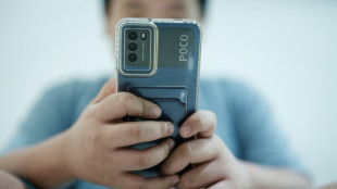 Indonesien: Regierung erw&auml;gt auch Online-Shopping-Verbot f&uuml;r Heranwachsende