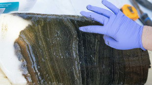 L'Anthropoc&egrave;ne n'est pas une nouvelle &eacute;poque g&eacute;ologique, estime l'instance scientifique de r&eacute;f&eacute;rence