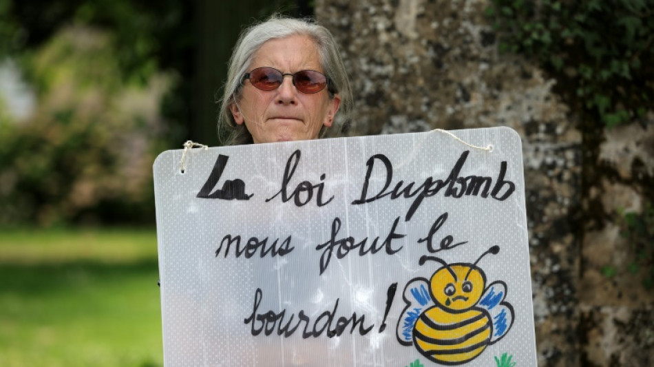 A million people sign French petition against bringing back bee-killing pesticide