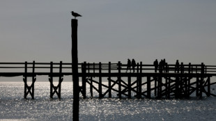 Temperaturrekord in Nordsee gemessen: Wärmstes Frühjahr seit Beginn von Datenreihe
