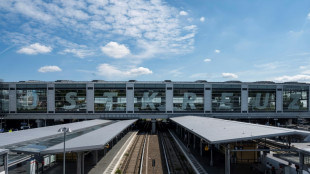 Zw&ouml;lfk&ouml;pfige Gruppe attackiert zwei Menschen an Bahnsteig in Berlin