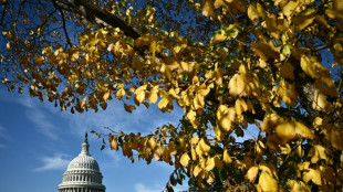 US-Kongress stimmt f&uuml;r Ende von "Shutdown"