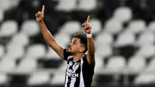Botafogo goleia peruano C&eacute;sar Vallejo (4-0) pelo Grupo A da Sul-Americana