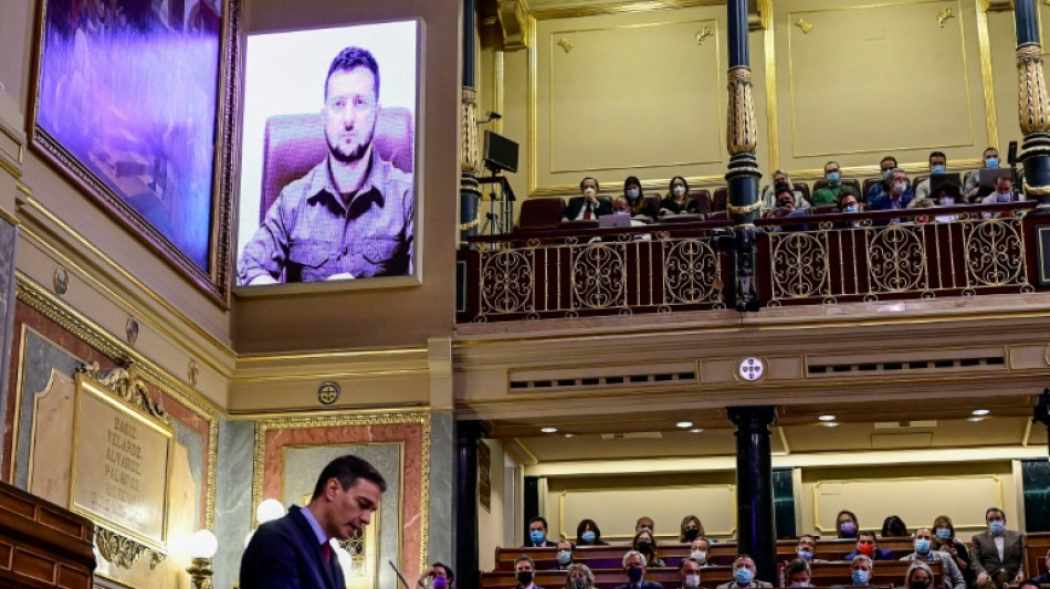Devant le Parlement espagnol, Zelensky compare la guerre en Ukraine à Guernica