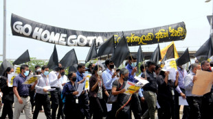 Huelga nacional en Sri Lanka para pedir la dimisi&oacute;n del gobierno