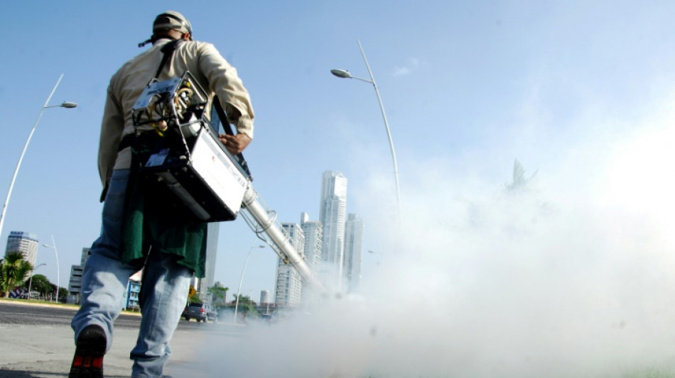 Guatemala y Panam&aacute;, los m&aacute;s afectados por una ola de dengue en Centroam&eacute;rica