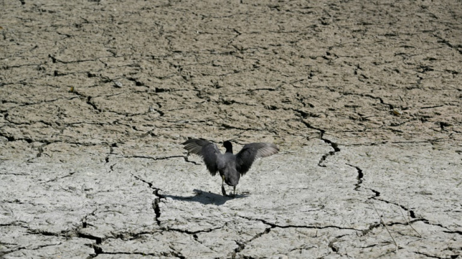 Global tensions rattle COP30 build-up but 'failure not an option'