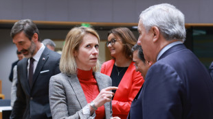 Ue, 'dai ministri via libera a designare i pasdaran come terroristi