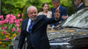 Lula diz que Charles III lhe pediu especialmente para 'cuidar da Amaz&ocirc;nia'
