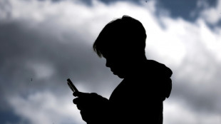 Reddit says Australia's under-16 social media ban 'legally erroneous'