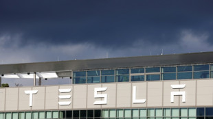 Showdown looms between Tesla and German union