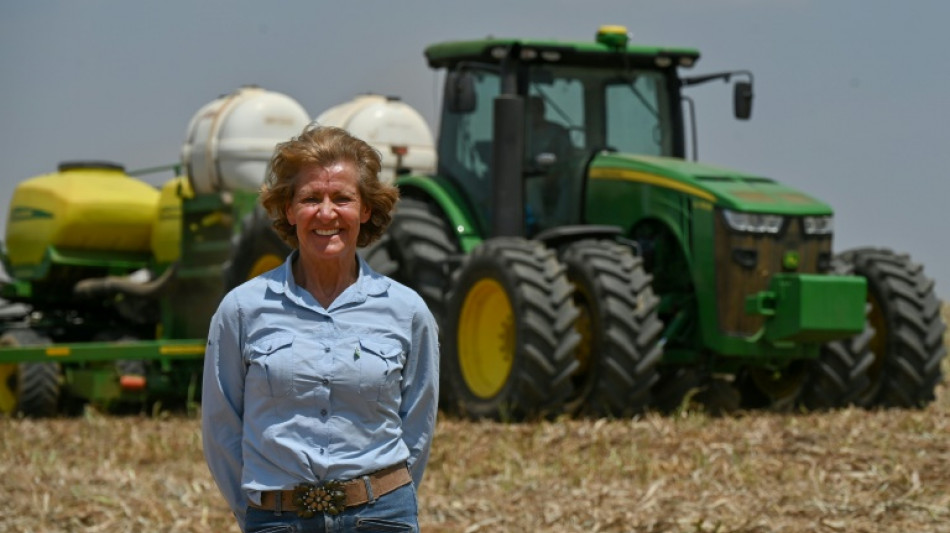 Eclips&eacute;e par l&#039;Amazonie, l&#039;inestimable savane br&eacute;silienne en danger