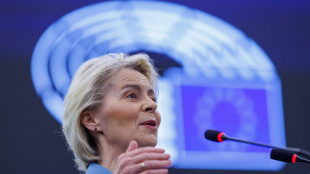 Von der Leyen, 'Mosca vuole distruggere le infrastrutture energetiche ucraine'