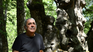 Residents defend Spain&rsquo;s ancient 'El Abuelo' tree from flames