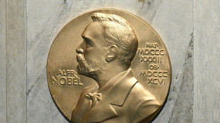 Confira os dez &uacute;ltimos ganhadores do Nobel da Paz 