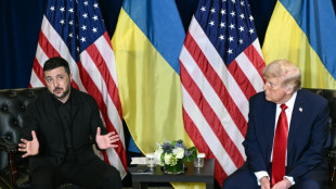 Trump bef&uuml;rwortet Abschuss russischer Flugzeuge bei Verletzung von Nato-Luftraum