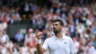 Wimbledon: Djokovic se rel&egrave;ve d'une entame cauchemardesque et passe en quart