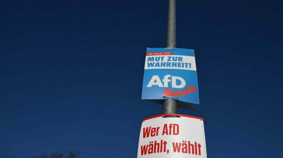 Gericht: AfD darf in hessischer Gemeinde keine weiteren Plakate aufh&auml;ngen