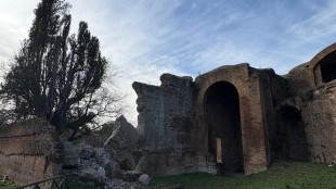Cede una porzione di muratura a Villa Adriana