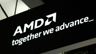 AMD says US rule on chips to China could cost it $800 mn