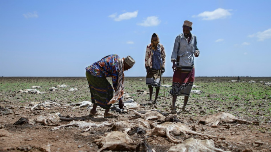 Treize millions de personnes menacées de famine dans la Corne de l'Afrique