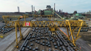 US tariffs corrode steelmaker ArcelorMittal's profitability