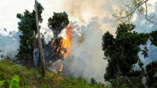 Br&ucirc;lis ill&eacute;gaux et cyclone, un terrain propice pour les feux &agrave; Mayotte