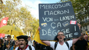 "Mercosur, mort &agrave; coup s&ucirc;r": la Conf&eacute;d&eacute;ration paysanne marche contre le libre-&eacute;change