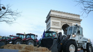 Agriculteurs: action de la Coordination rurale autour de l'Arc de Triomphe, 66 interpellations
