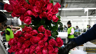 Estafadores usan IA para enga&ntilde;ar a los solitarios que buscan el amor