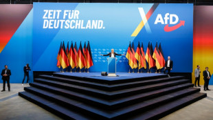 Alternativa para Alemania presenta una demanda contra su clasificaci&oacute;n como partido extremista