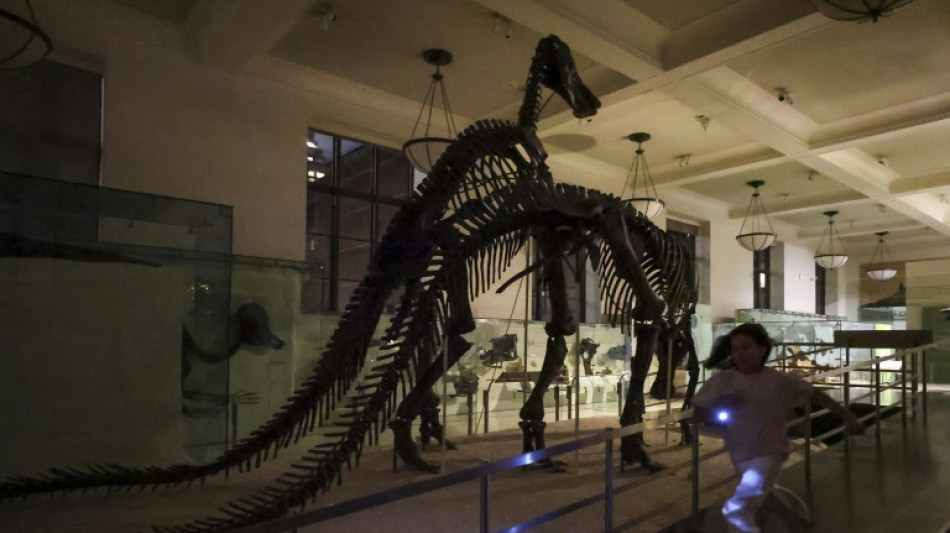 In New York, a night at the museum -- five years in the making