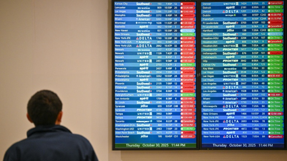 US-Haushaltssperre: Mehr als 800 Inlandsfl&uuml;ge gestrichen