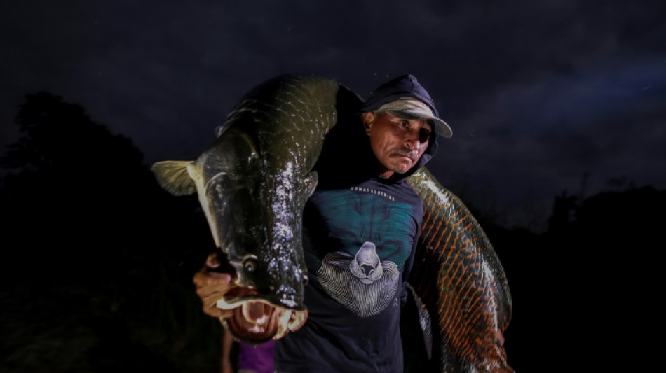 Pirarucu, o gigante e delicioso peixe amea&ccedil;ado da Amaz&ocirc;nia