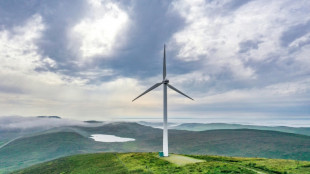 Studie: Auf Industrie kommt f&uuml;r Klimaneutralit&auml;t doppelter Strombedarf zu