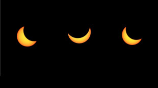 Une &eacute;clipse partielle de Soleil dans l'h&eacute;misph&egrave;re Nord samedi