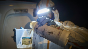 Récord en Europa de brotes de enfermedades transmitidas por mosquitos