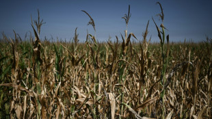 La France entre dans le dur du nouvel &eacute;pisode caniculaire