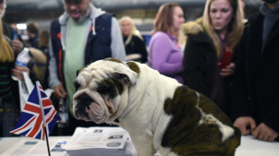 Le bulldog anglais souffre de la gueule faisant son succ&egrave;s