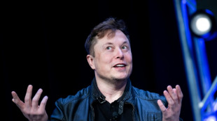 Musk elude límites en Twitter al negarse a integrar directorio, según expertos