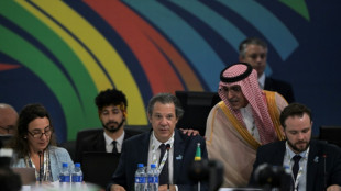 Conflictos "contaminan" el consenso entre ministros de G20 en Brasil