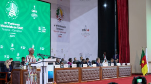 El comercio mundial sufre las "peores perturbaciones" en 80 a&ntilde;os, advierte la OMC