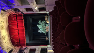 Felder lancia un concorso per artisti al Teatro Niccolini, 'votano i toscani'