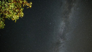 Pi&ugrave; antico della Terra il meteorite finito su una casa in Usa